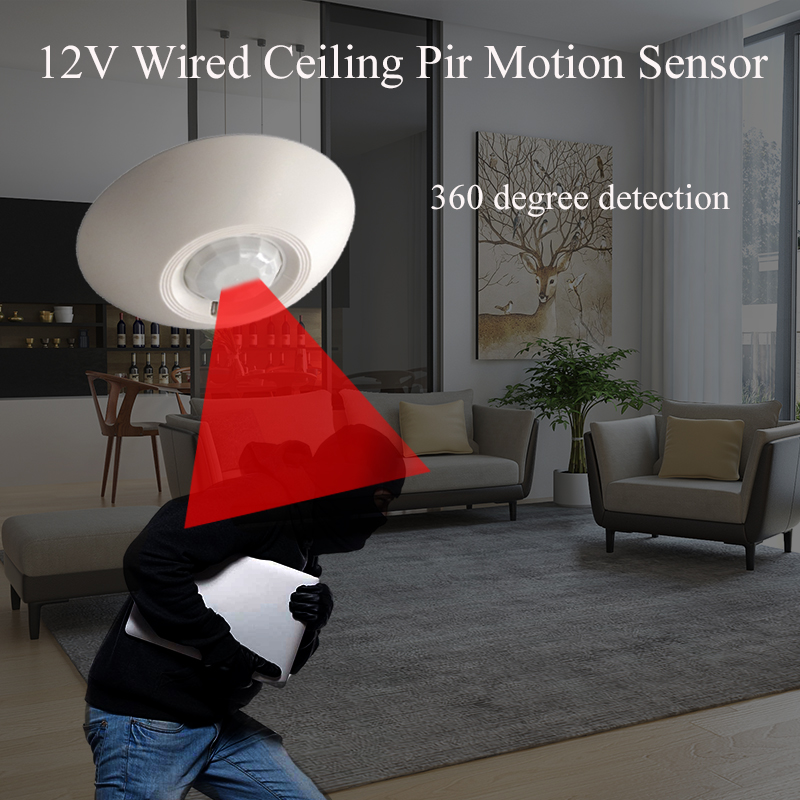 12V Wired PIR Motion Sensor Ce - Motion Sensor Pir Wired reseña y precio
